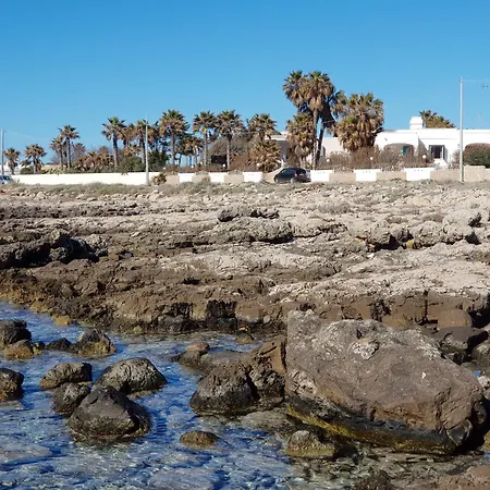 Oasi Sul Mare